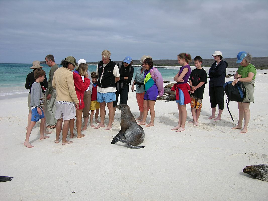 Galapagos 3-2-02 Espanola Gardner Bay Admiring Sea Lions